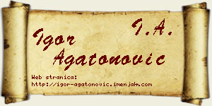 Igor Agatonović vizit kartica